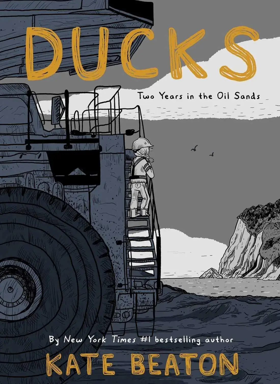 DUCKS Cover